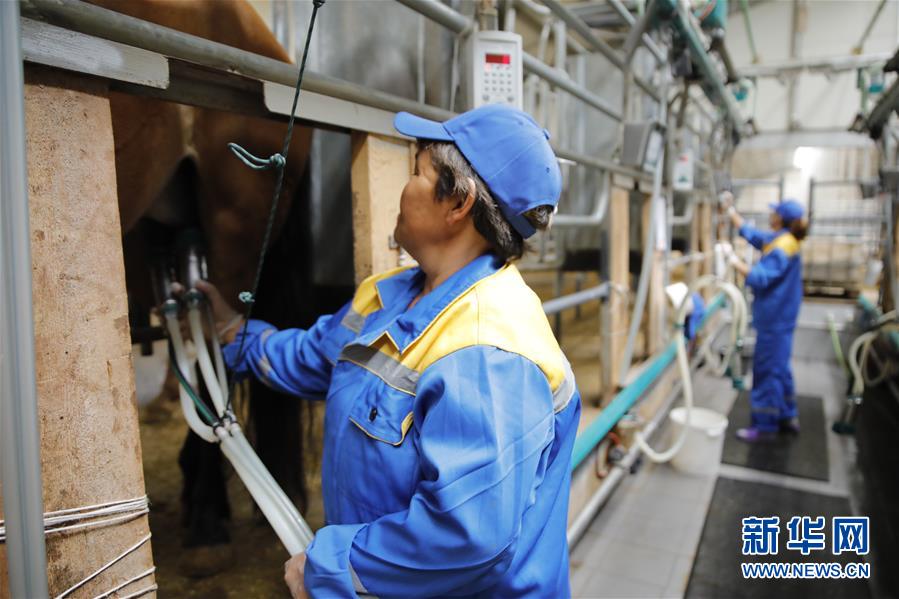 （國際&middot;圖文互動）（3）從&ldquo;先遣隊(duì)&rdquo;到&ldquo;正規(guī)軍&rdquo;&mdash;&mdash;哈薩克斯坦駱駝奶粉入華記