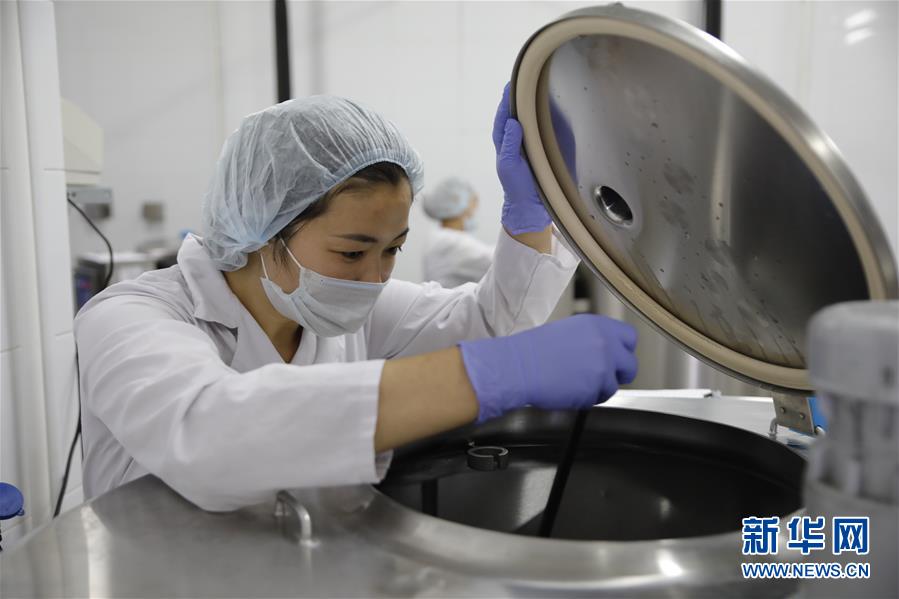 （國際&middot;圖文互動）（5）從&ldquo;先遣隊(duì)&rdquo;到&ldquo;正規(guī)軍&rdquo;&mdash;&mdash;哈薩克斯坦駱駝奶粉入華記