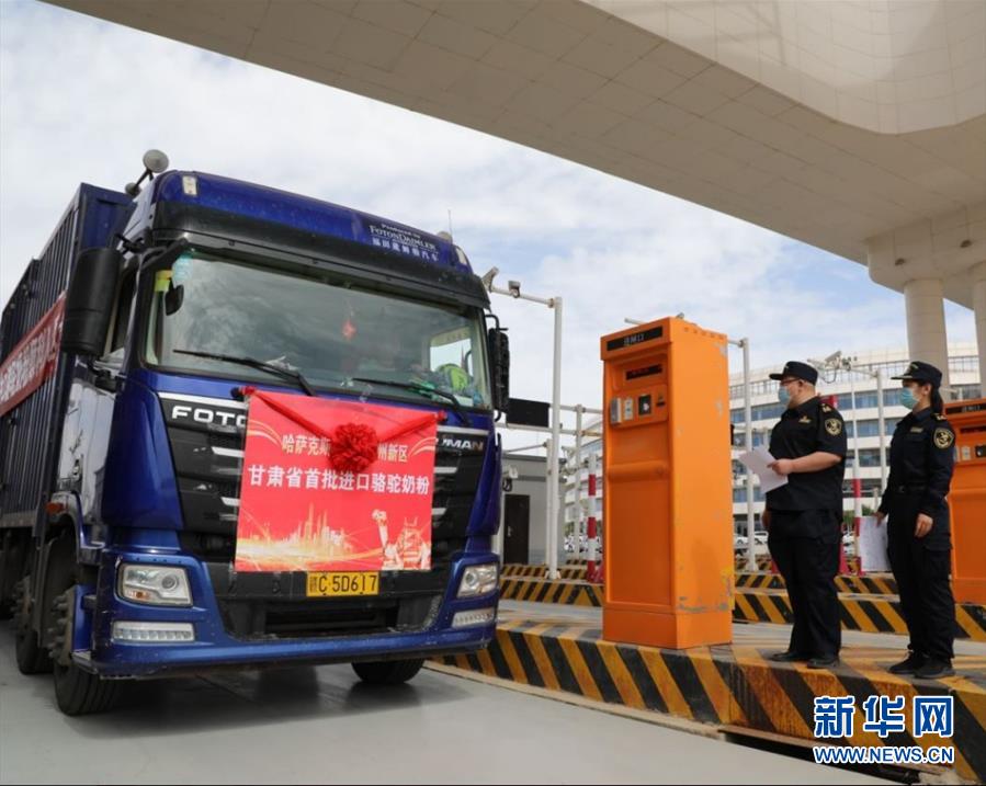 （國際&middot;圖文互動）（7）從&ldquo;先遣隊(duì)&rdquo;到&ldquo;正規(guī)軍&rdquo;&mdash;&mdash;哈薩克斯坦駱駝奶粉入華記