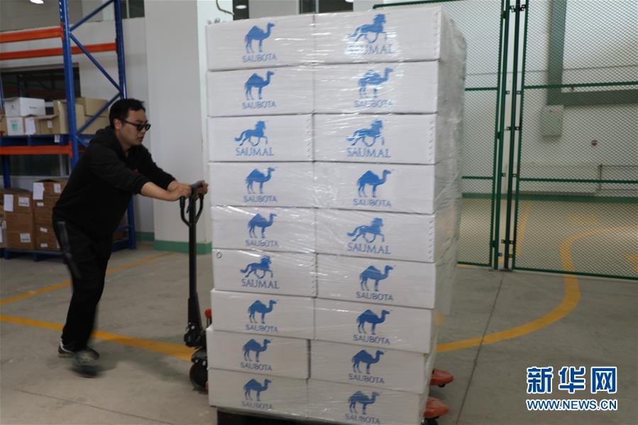 （國際&middot;圖文互動）（8）從&ldquo;先遣隊(duì)&rdquo;到&ldquo;正規(guī)軍&rdquo;&mdash;&mdash;哈薩克斯坦駱駝奶粉入華記