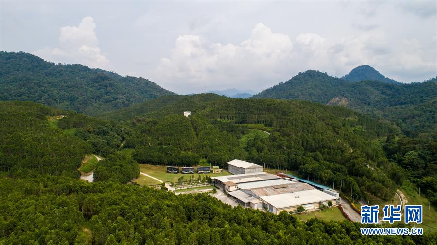 (第三屆進博會·圖文互動)(1)專訪:進博會提供了一個共享中國發展機遇的平臺