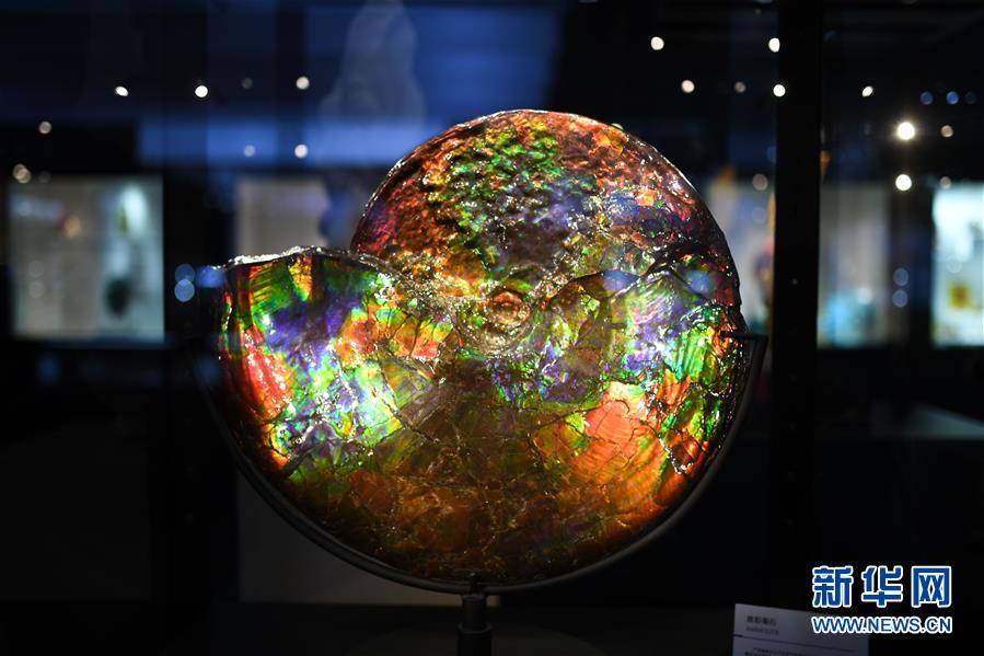 （第三屆進(jìn)博會&middot;新華視界）（1）觀展體驗(yàn)：多彩&middot;絢爛&middot;未來感