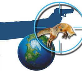 中國全球&ldquo;獵狐&rdquo;戰果豐碩！