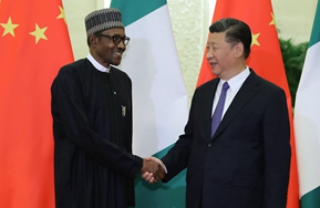 習近平會見尼日利亞總統