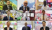 看快閃《不遠萬里來看&ldquo;你&rdquo;》，聽老外點贊進博會