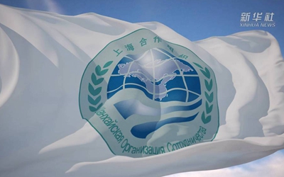 你好，上合！