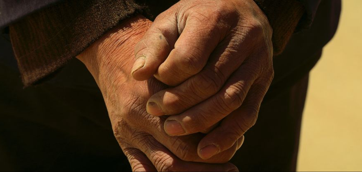 正式發(fā)布！《攜手，為人民》中國共產(chǎn)黨與世界政黨領(lǐng)導(dǎo)人峰會暖場片