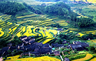 生態中國&middot;碧水丹山瞰武夷