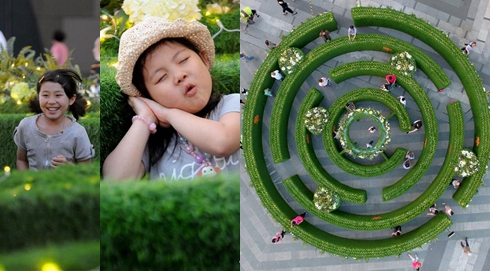 &ldquo;花園迷宮&rdquo;亮相沈陽